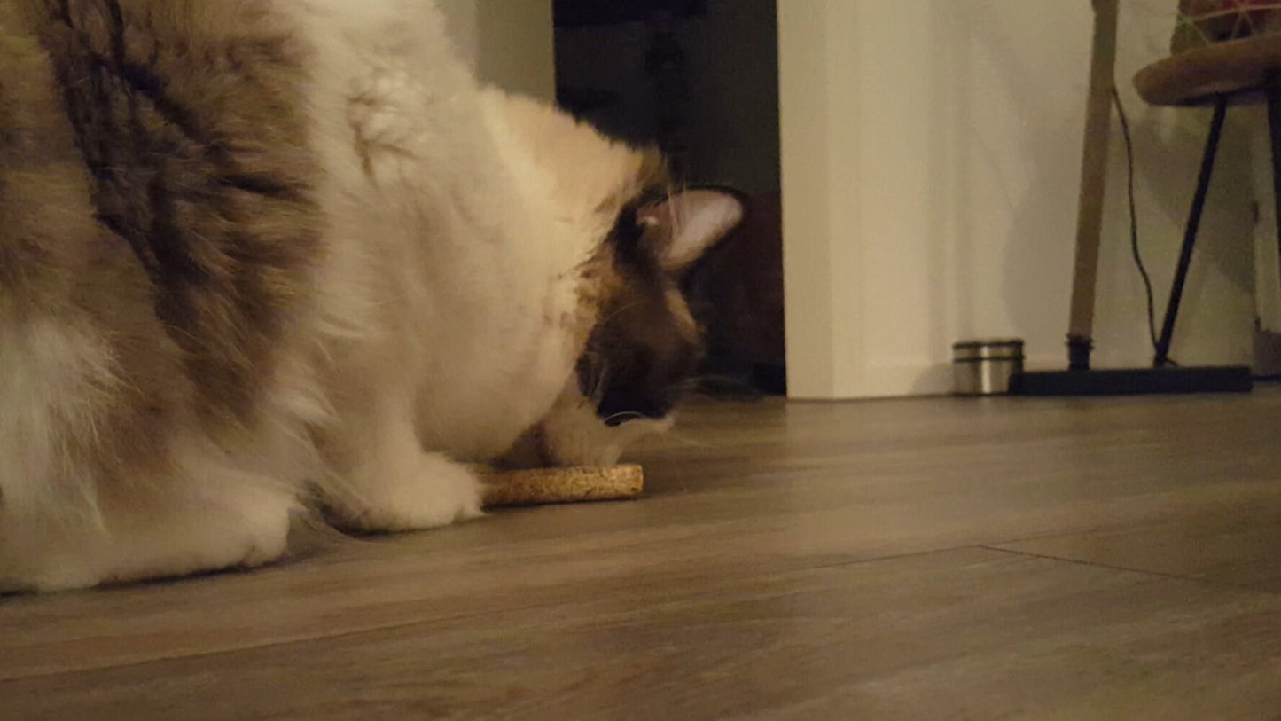 Addicted! Stick (2-Pack)