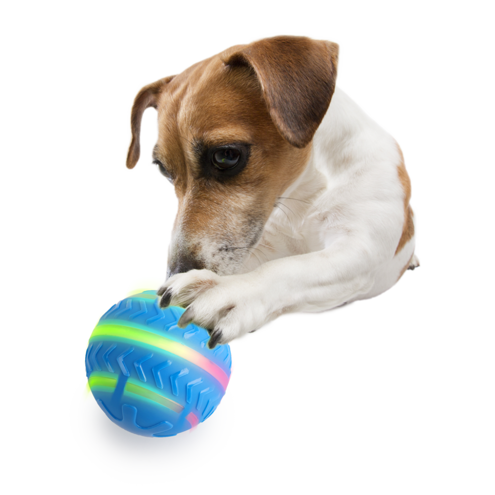 AFP Interactives Motion Activated Action Ball
