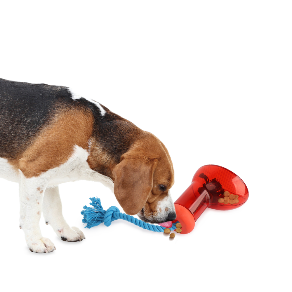 AFP Doggies' Shoes - Big boot dispenser L