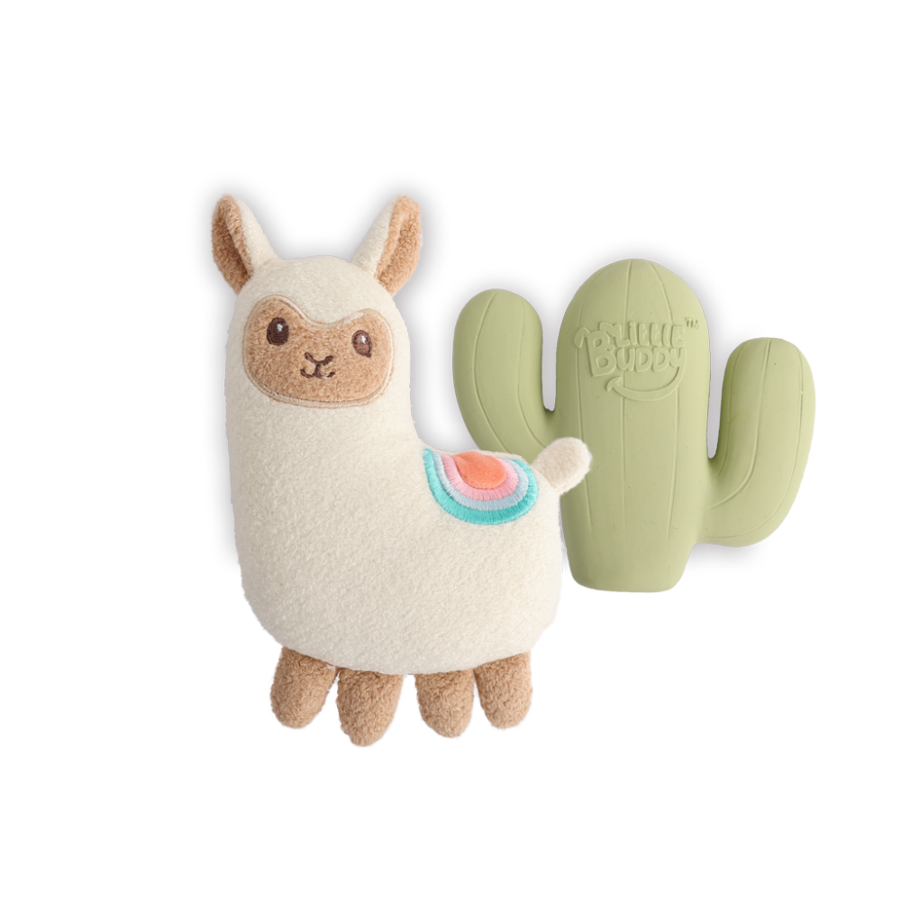 AFP Little Buddy 2-Pack Toy Fiesta