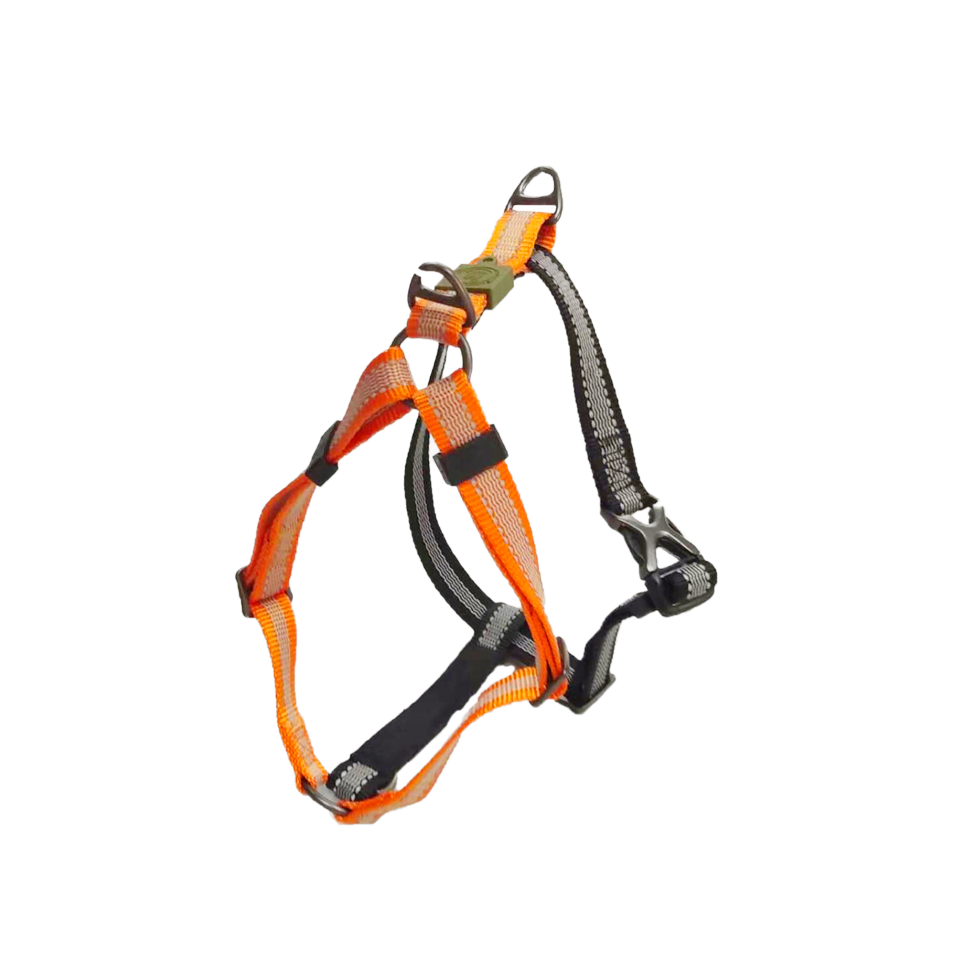 AFP Off Street - Dog Non-Pull Harness Mandarijn L