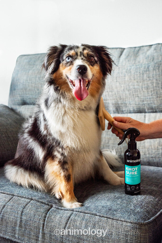 Animology Knot Sure De-Tangle Dog Spray 250 ml