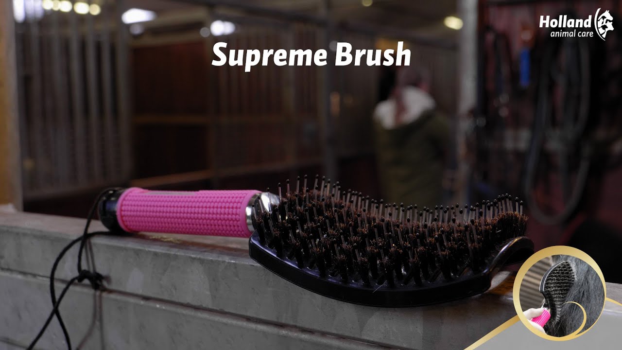 Excellent Horse Supreme Brush Goud