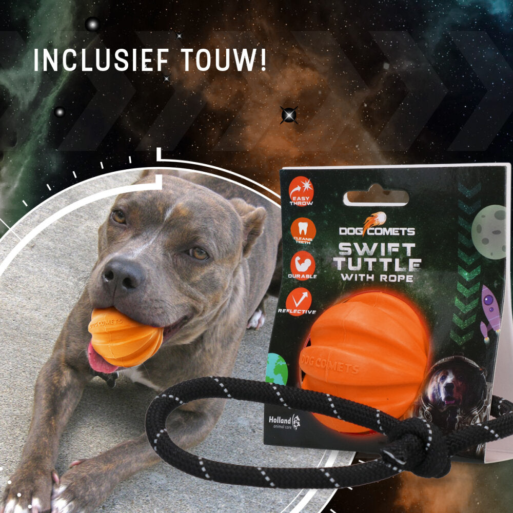 Dog Comets Swift Tuttle Met Touw Oranje