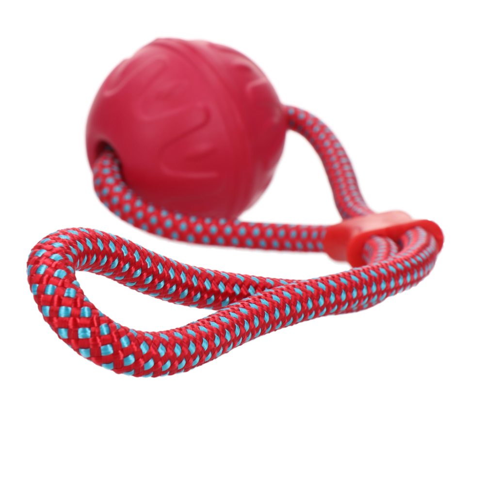 Dog Comets Vortex Loop Roze