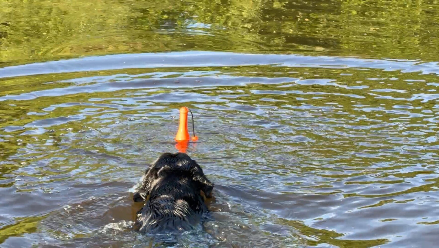 Dog Comets Bobber Roze