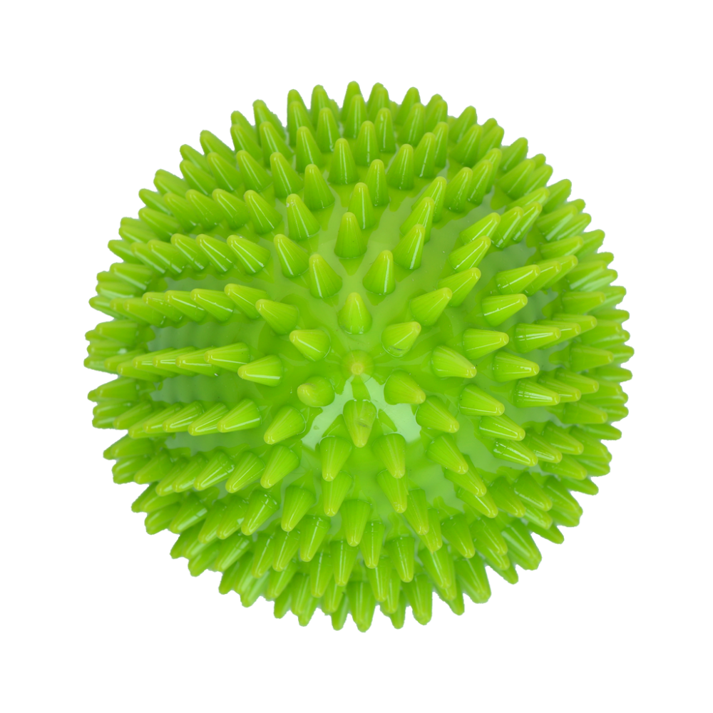 Dog Comets Cosmic Egg Groen L