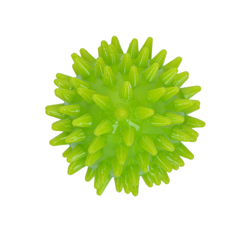 Dog Comets Cosmic Egg Groen S