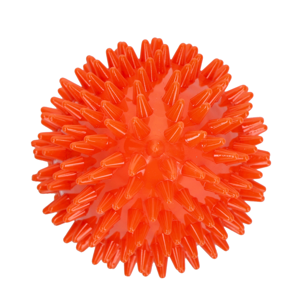 Dog Comets Cosmic Egg Oranje M
