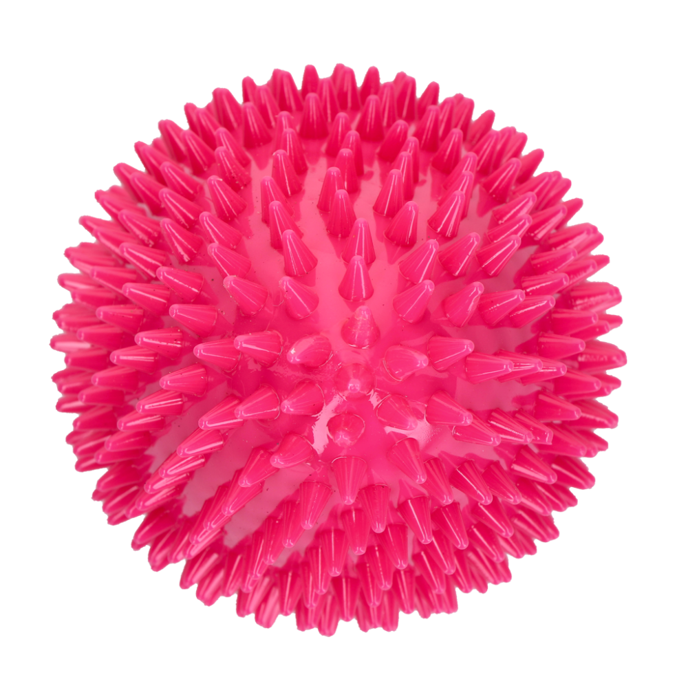 Dog Comets Cosmic Egg Roze L