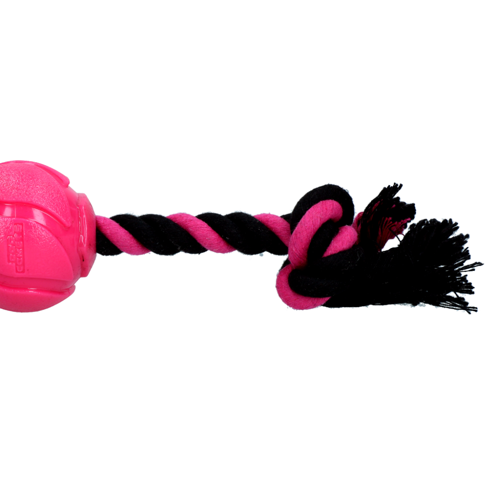 Dog Comets AstroTug Roze