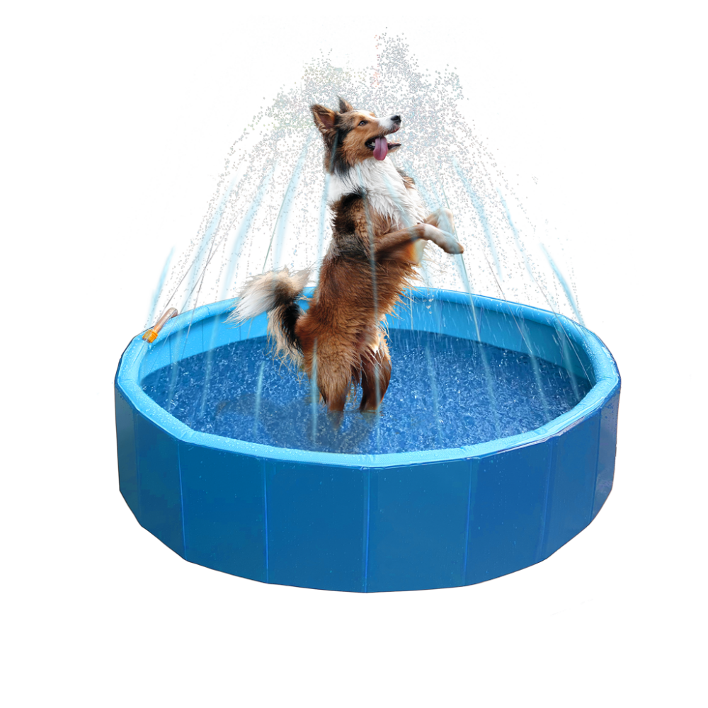 Coolpets Splash Sprinkler Pool