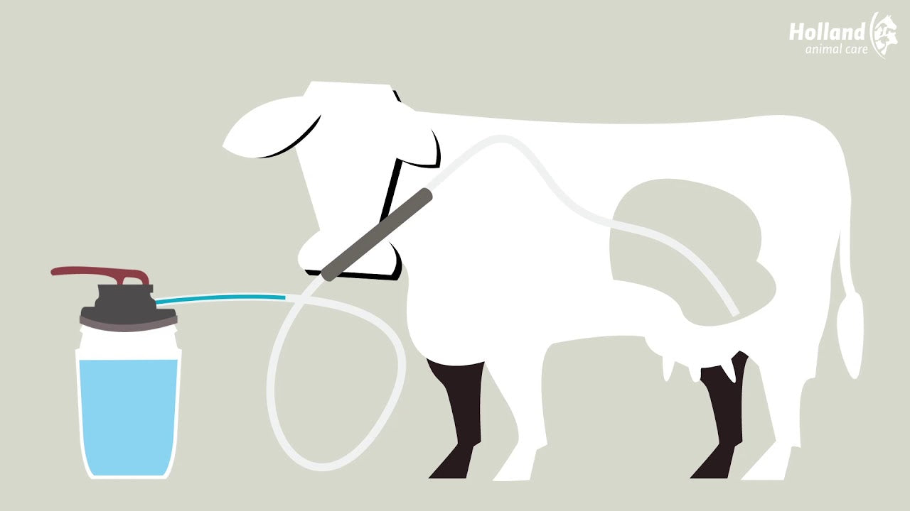 Excellent Cow Drencher