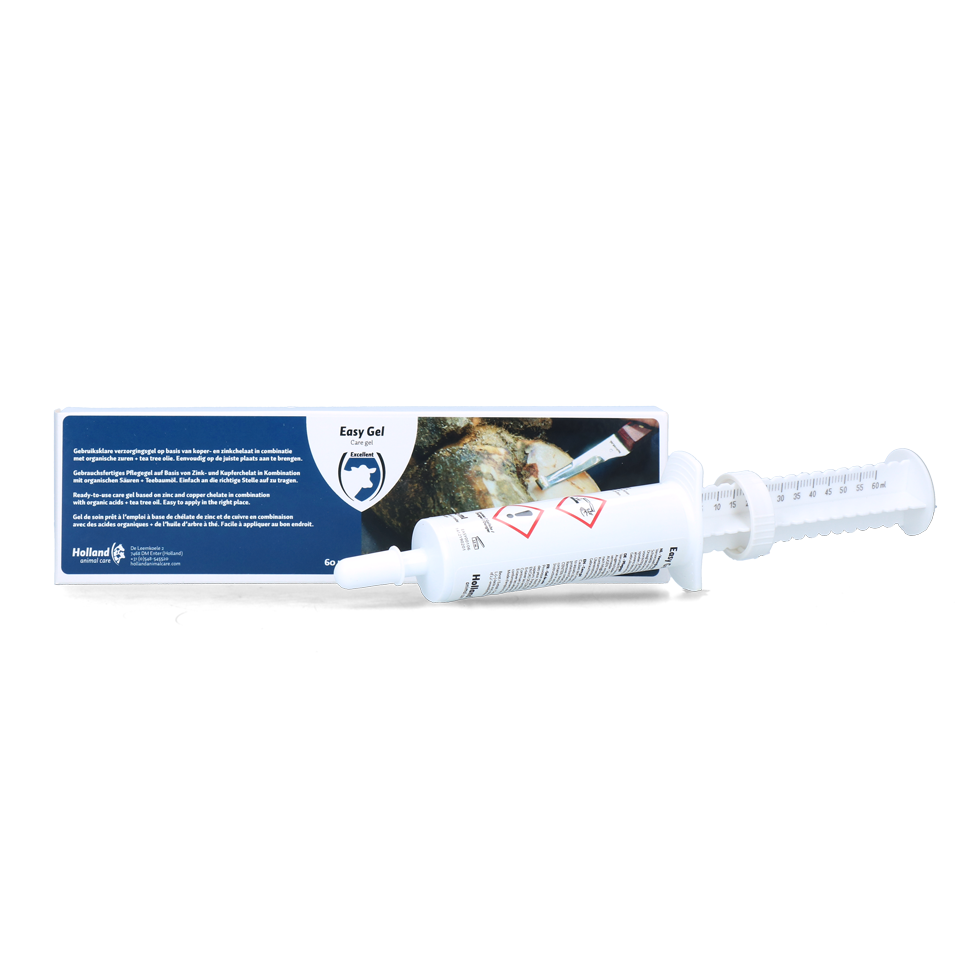 Excellent Easy Gel 60 ml