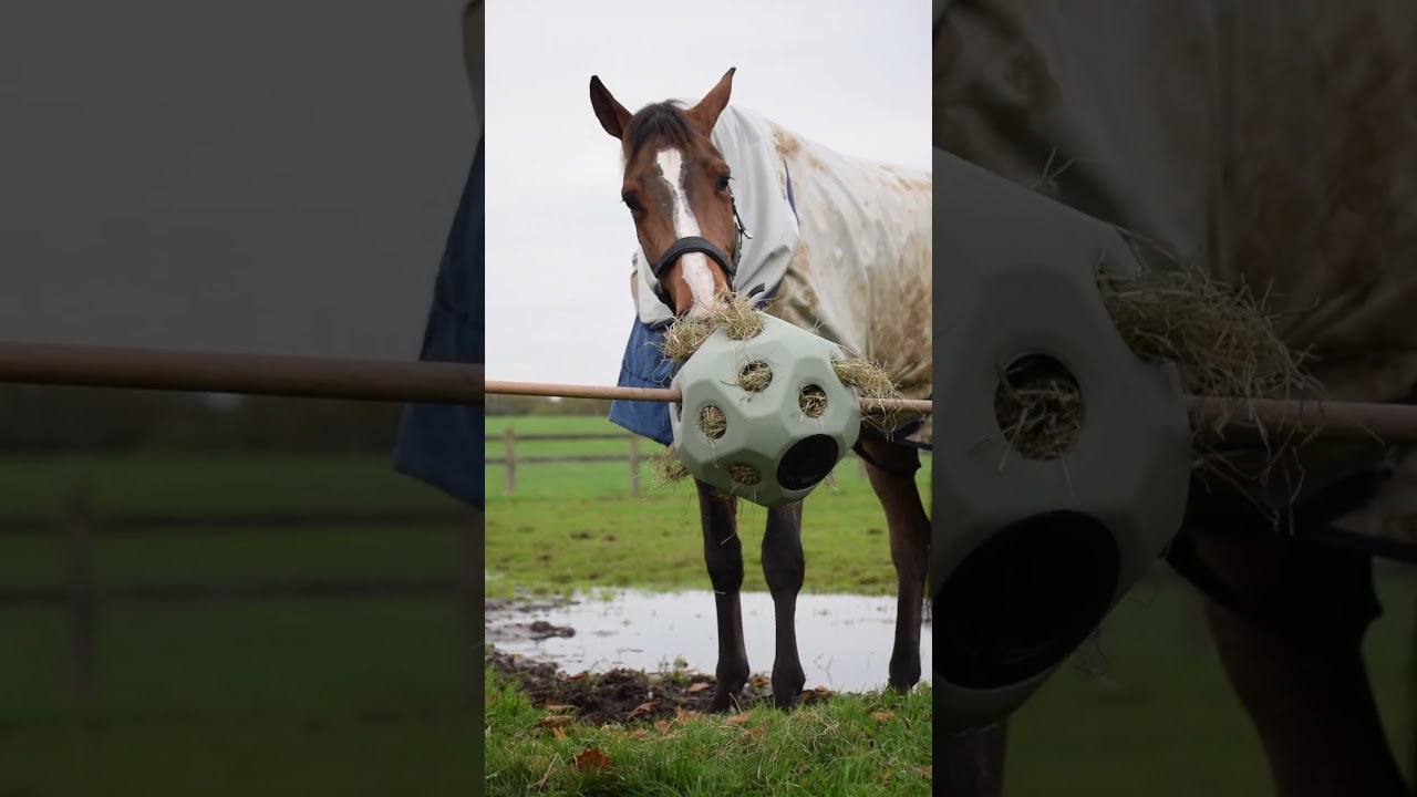 Excellent Horse Feed & Play Ball Blauw