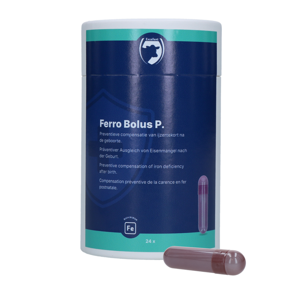 Excellent Ferro Bolus P 24 x 8,5 g