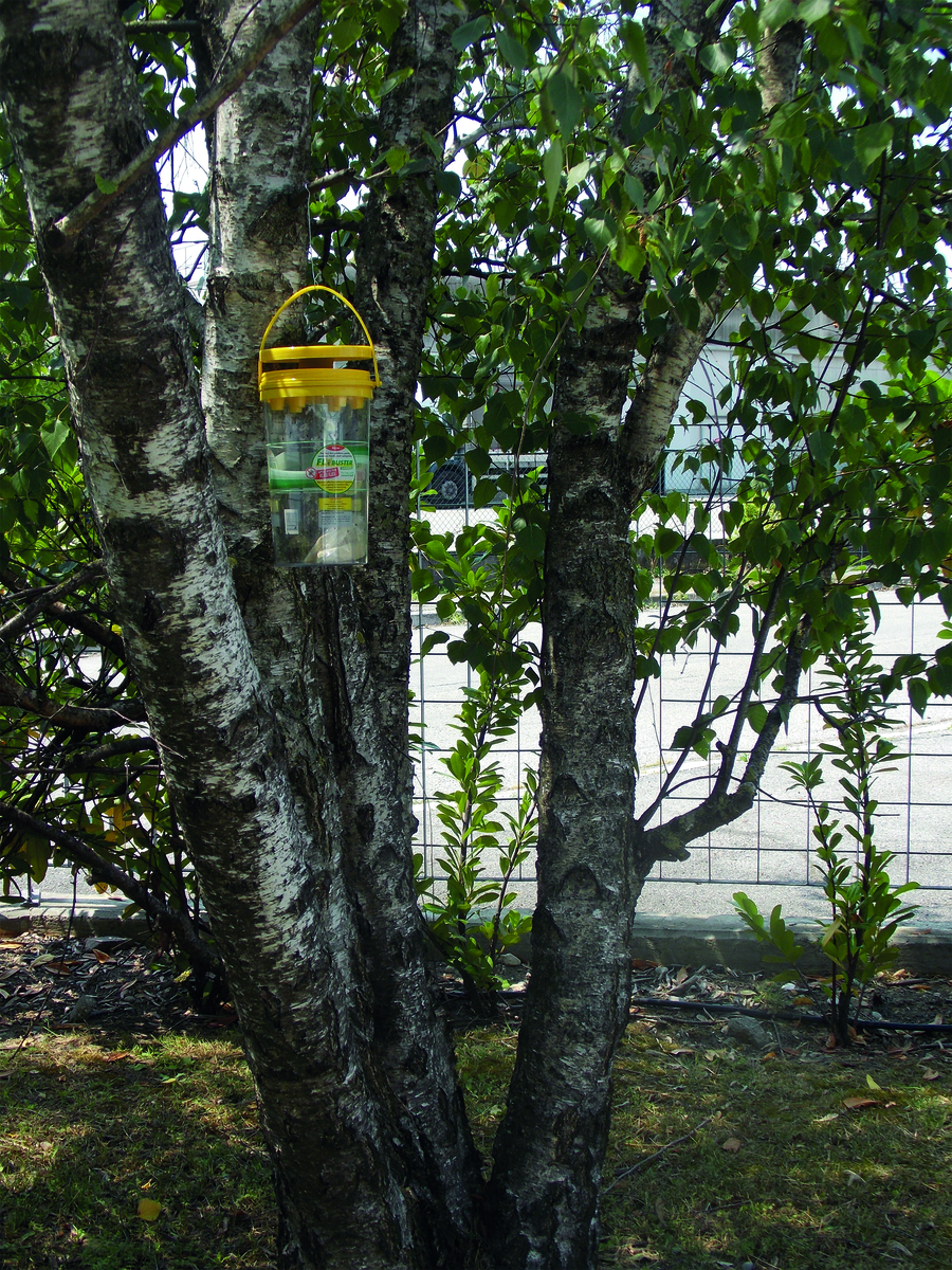 Flybuster Garden Trap incl. Bait