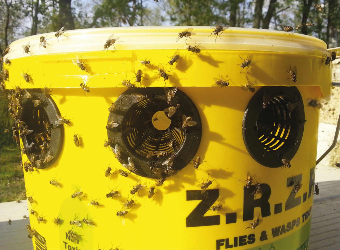 Flybuster Trap 6 l. excl. bait