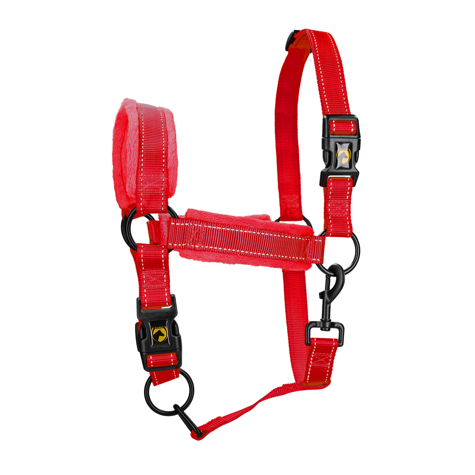 Excellent Superior Halster Rood M