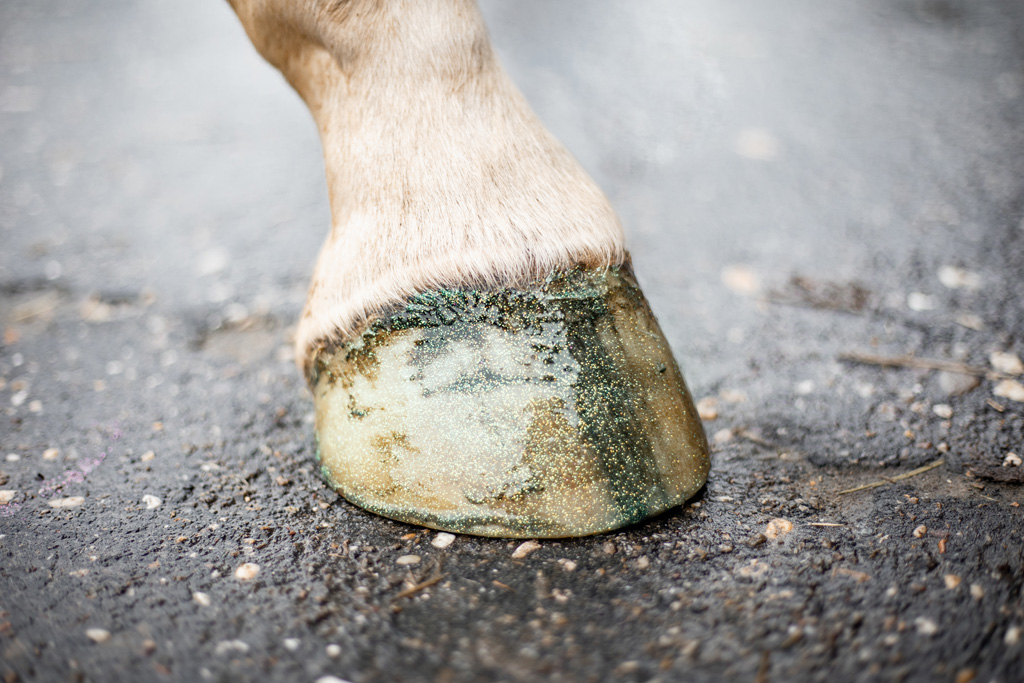 Excellent Horse Hi Gloss Glitter Hoof Polish Silver 150 ml
