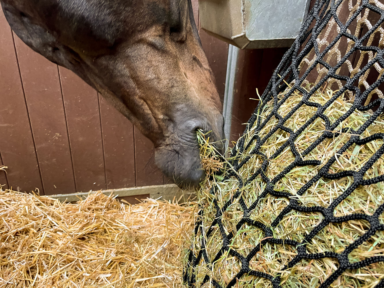 Hay Slowfeeder net 10 kg (5 mm dik, maaswijdte 60/45 mm)