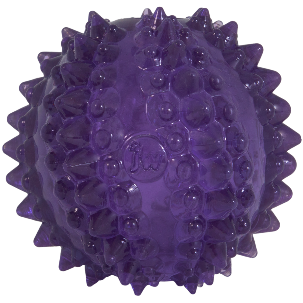 JW Puppy - Bristl-ee Cactus Ball