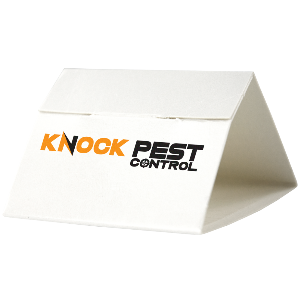 Knock Pest Zilvervisjesval Delta