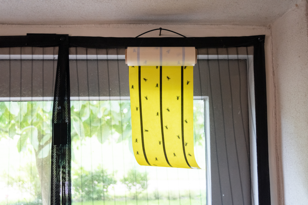 Knock Pest Vliegenkleefrol Geel 7 meter
