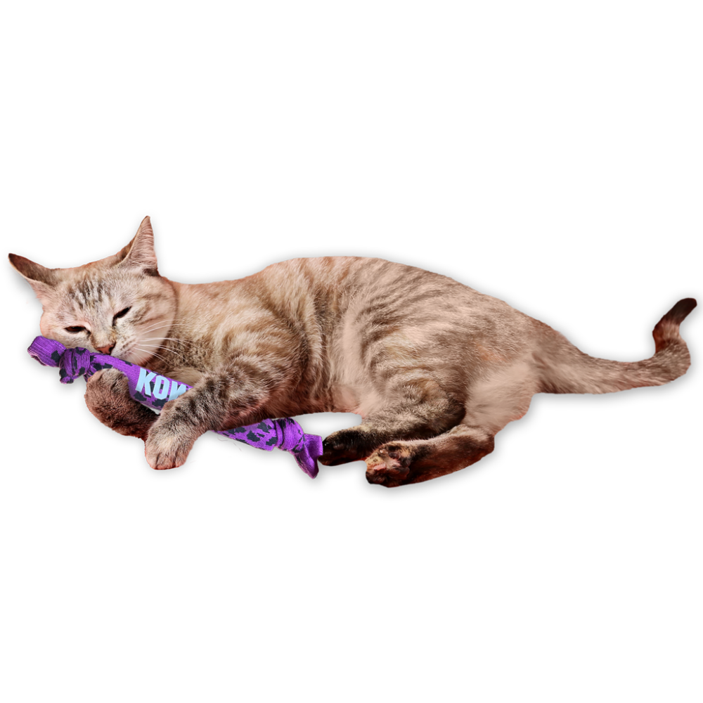 KONG Kickeroo Crunch