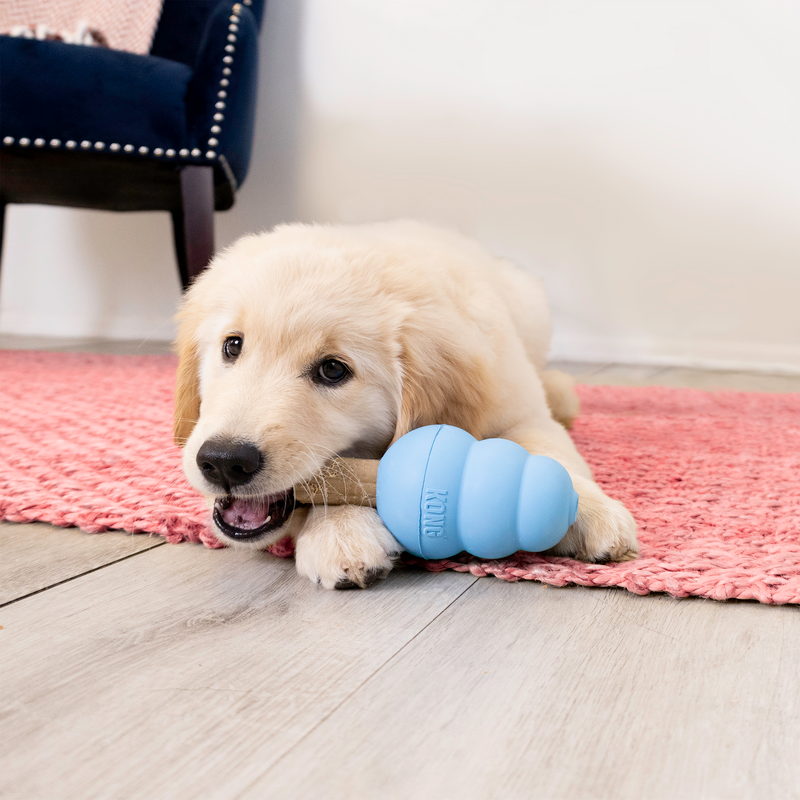 KONG Ziggies Enhanced Puppy Md/Lg 227g