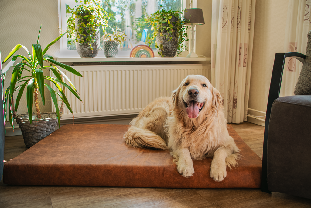 Let's Sleep Mellow Mattress Orthopedisch Kussen L Antraciet
