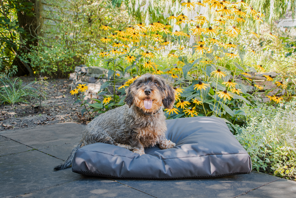 Let's Sleep Cushy Cloud Hondenkussen Buiten XL Antraciet