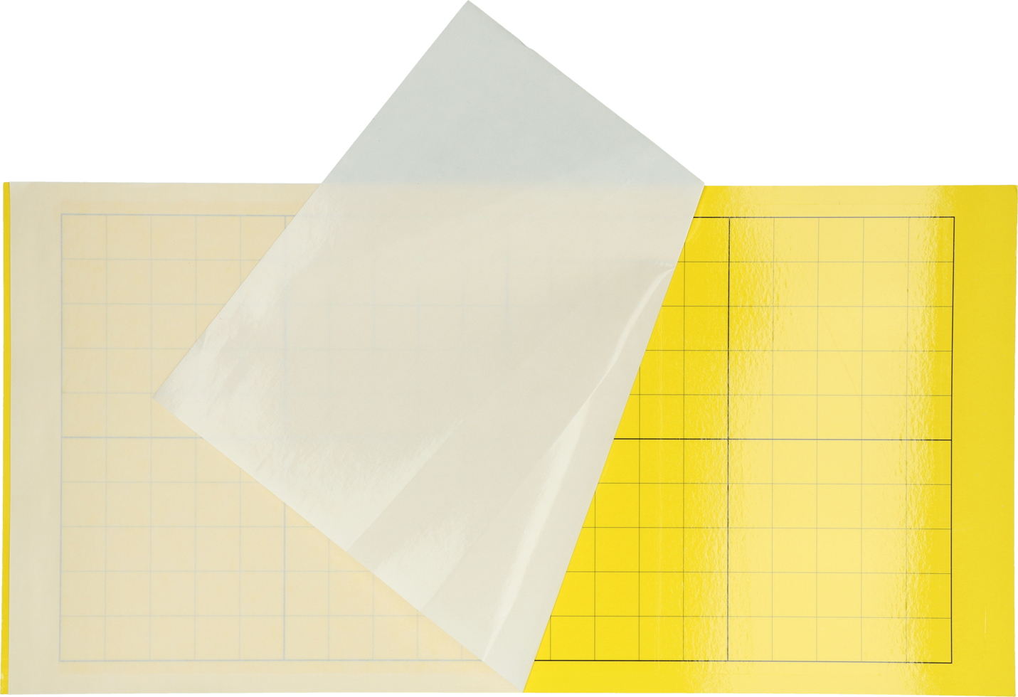 Lijmplaat Insectron 200/300 per 6 st.