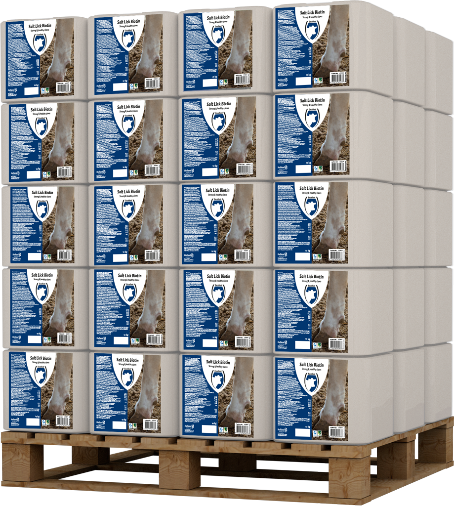 Excellent Liksteen Biotin 10 kg