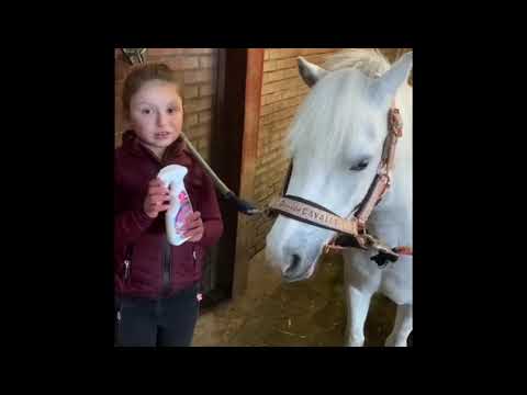 Lucky Horse Unicorn Knuffel Spray