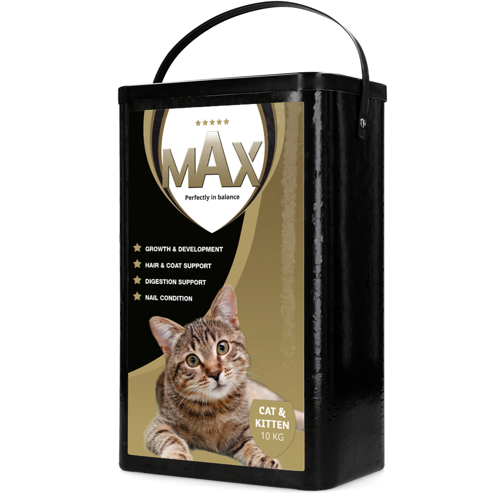 Max Kat en Kitten