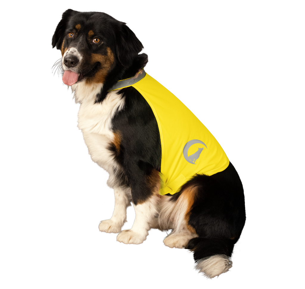 Nightwalk Safety Vest Geel S