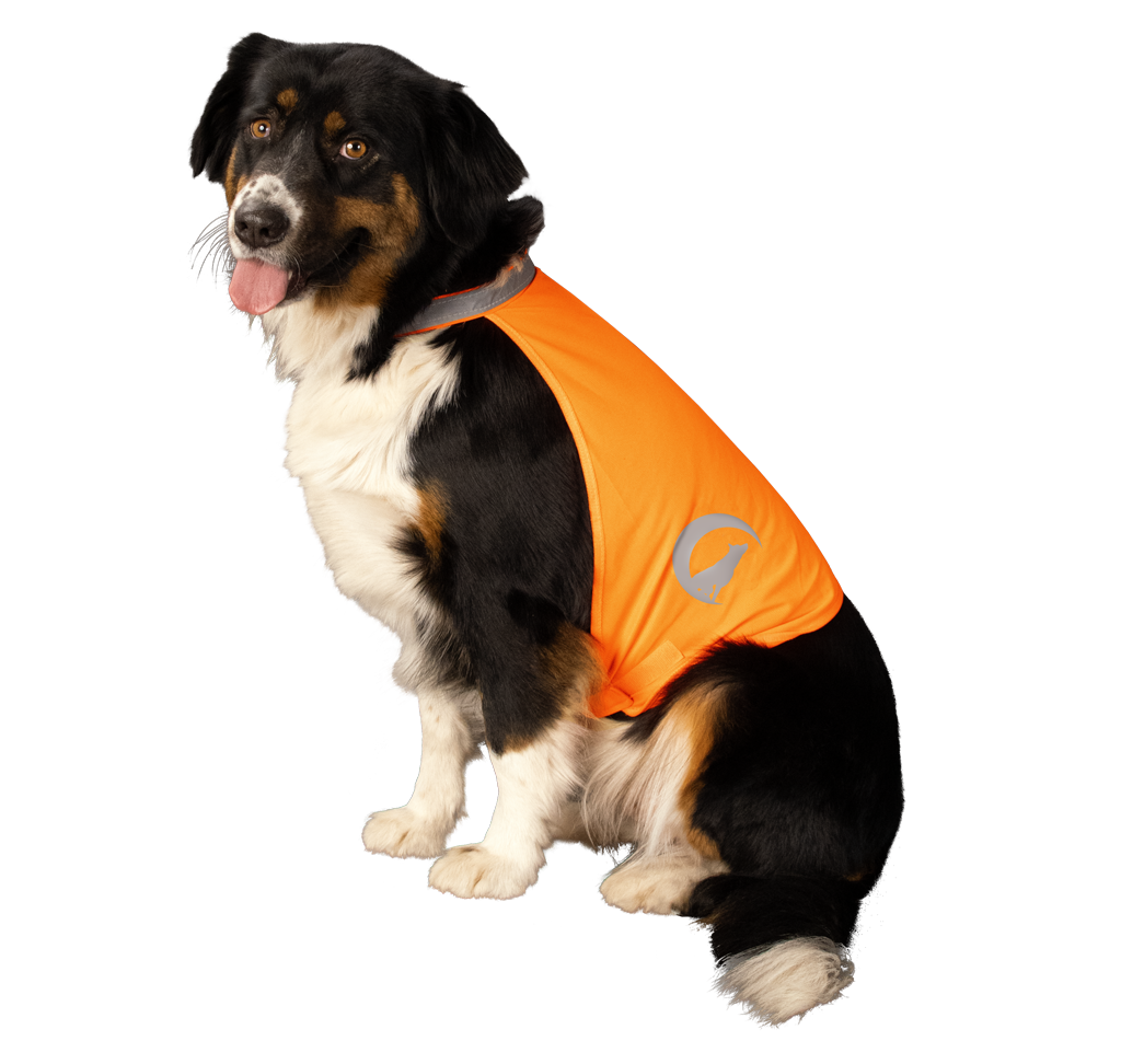 Nightwalk Safety Vest Oranje S