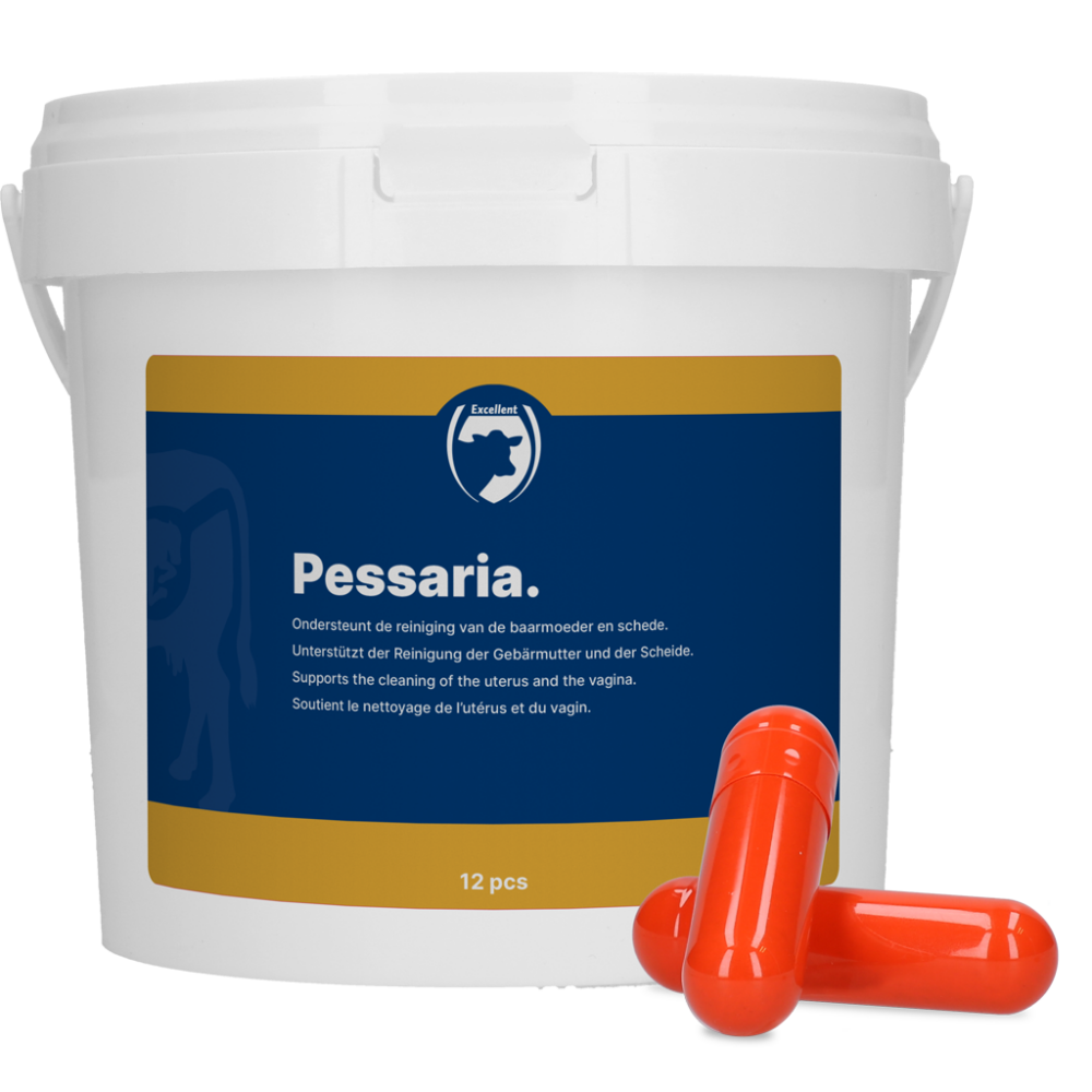Excellent Pessaria Capsule 12 st