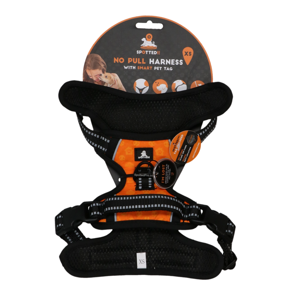 Spotted! PRO Harnas Oranje XS