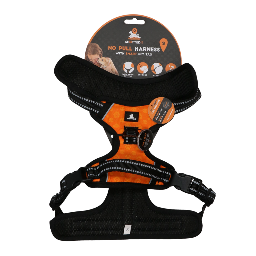 Spotted! PRO Harnas Oranje S