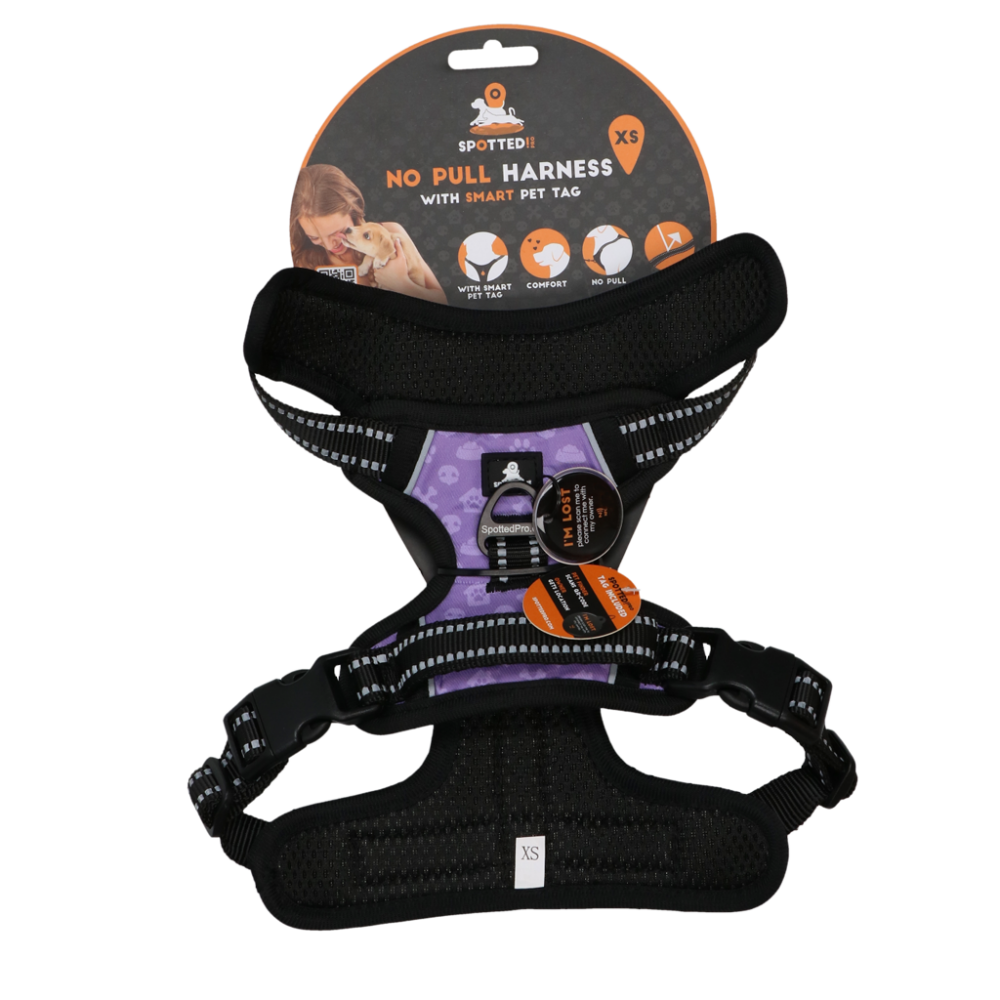 Spotted! PRO Harnas Paars XS