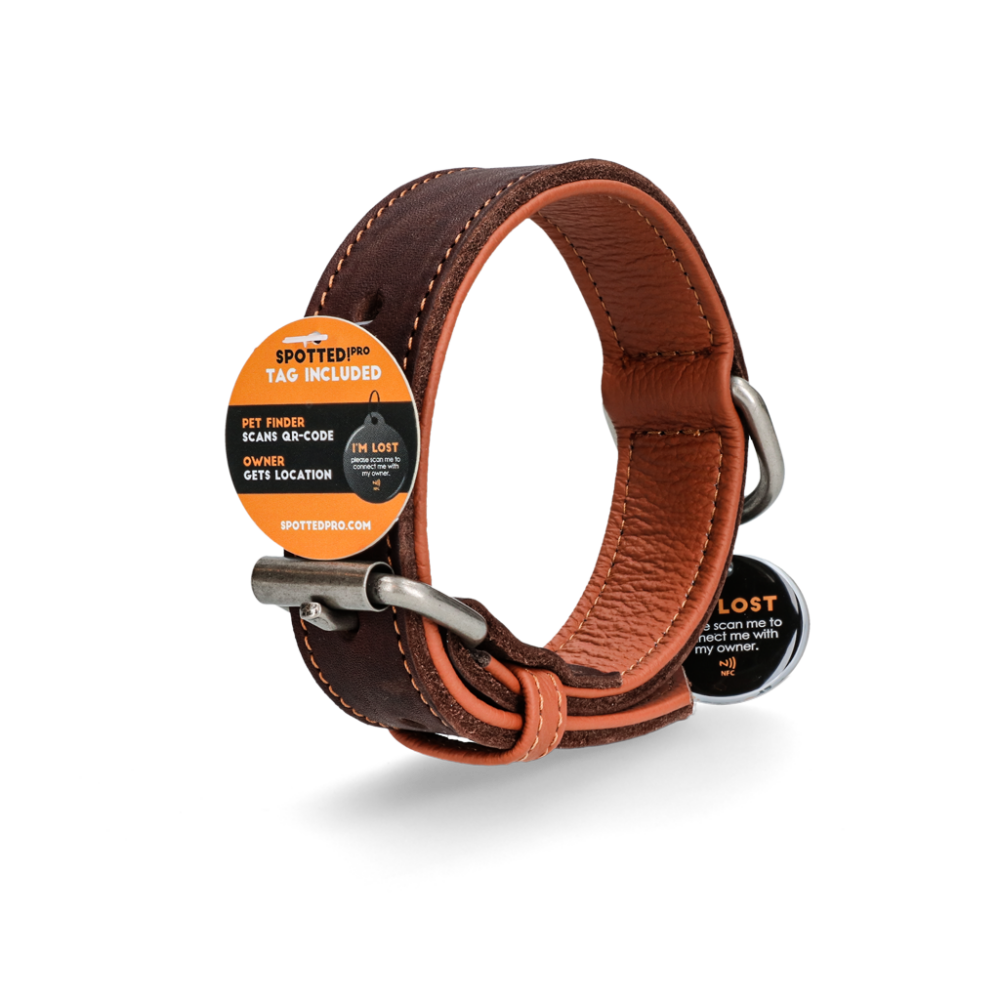 Spotted! Pro Leren Halsband Bruin 2,5x40cm