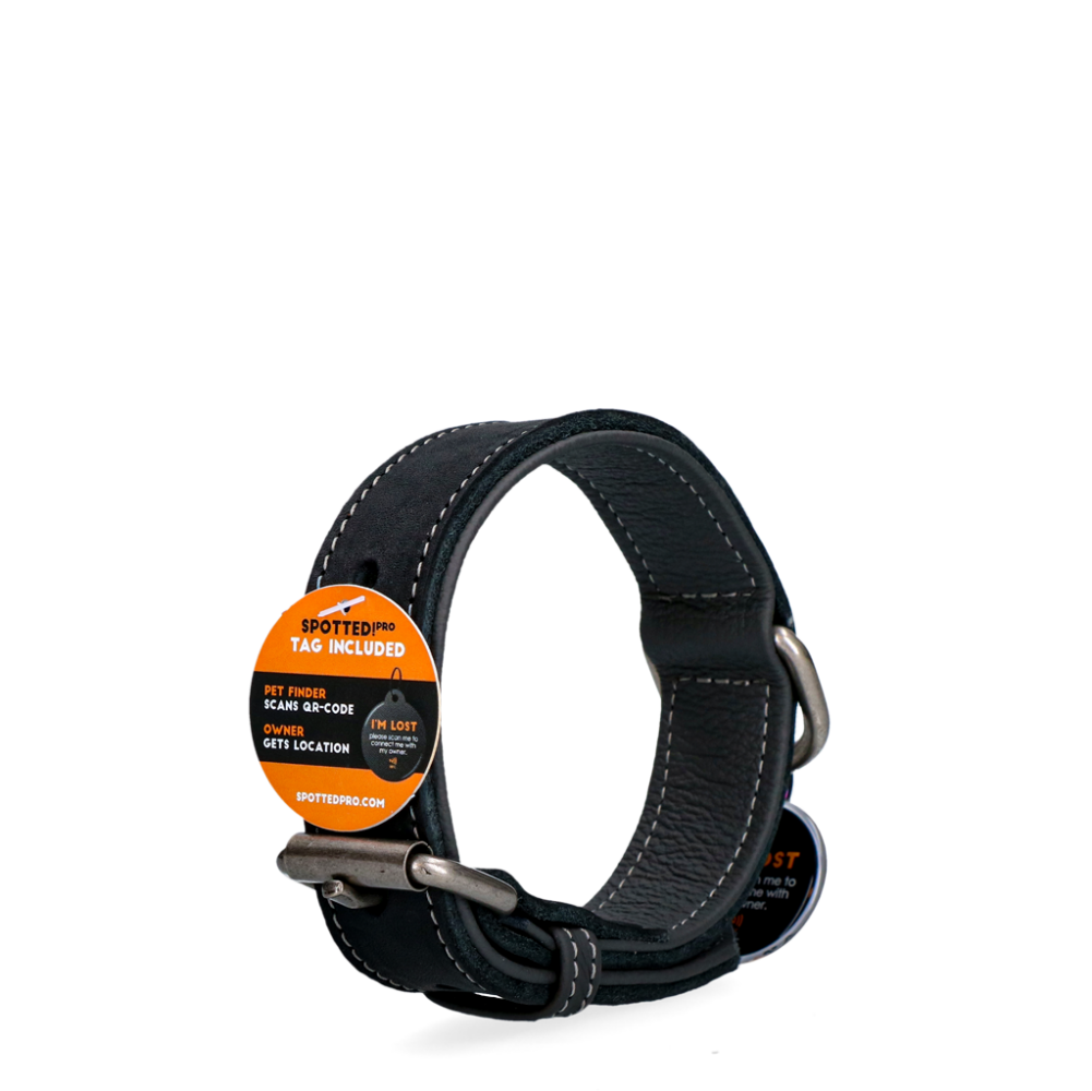 Spotted! Pro Leren Halsband Zwart 2,5 x 45 cm