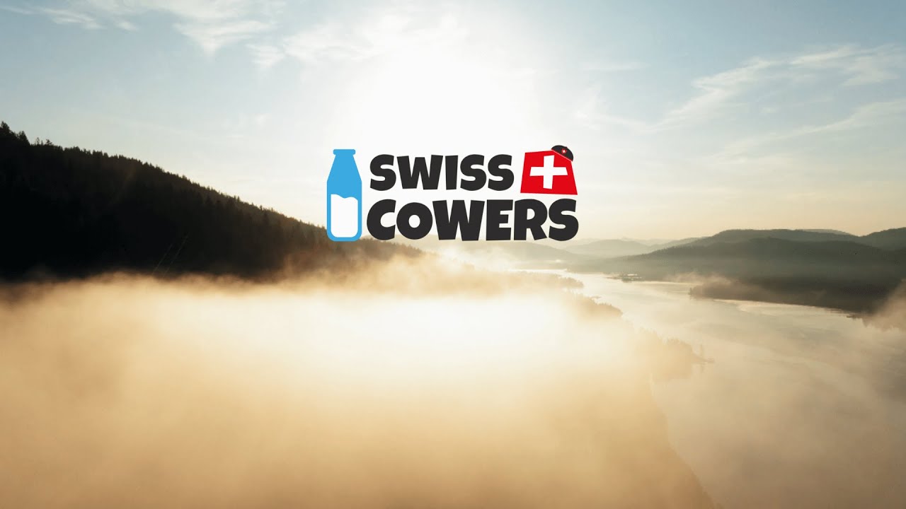SwissCowers Cheese Bars Original L