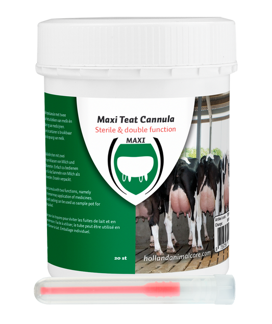 Maxi Plastic Tepelcanule canula 55 mm luer