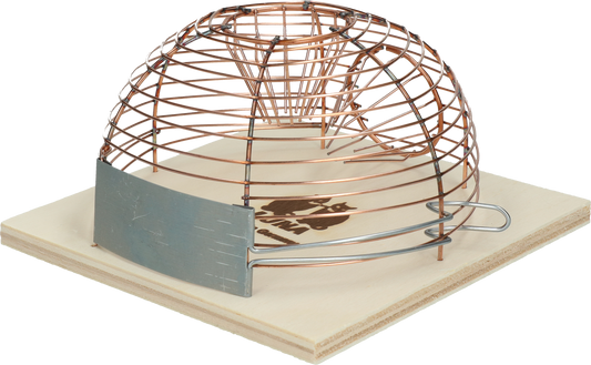 Muizenval korf levend "Luna"