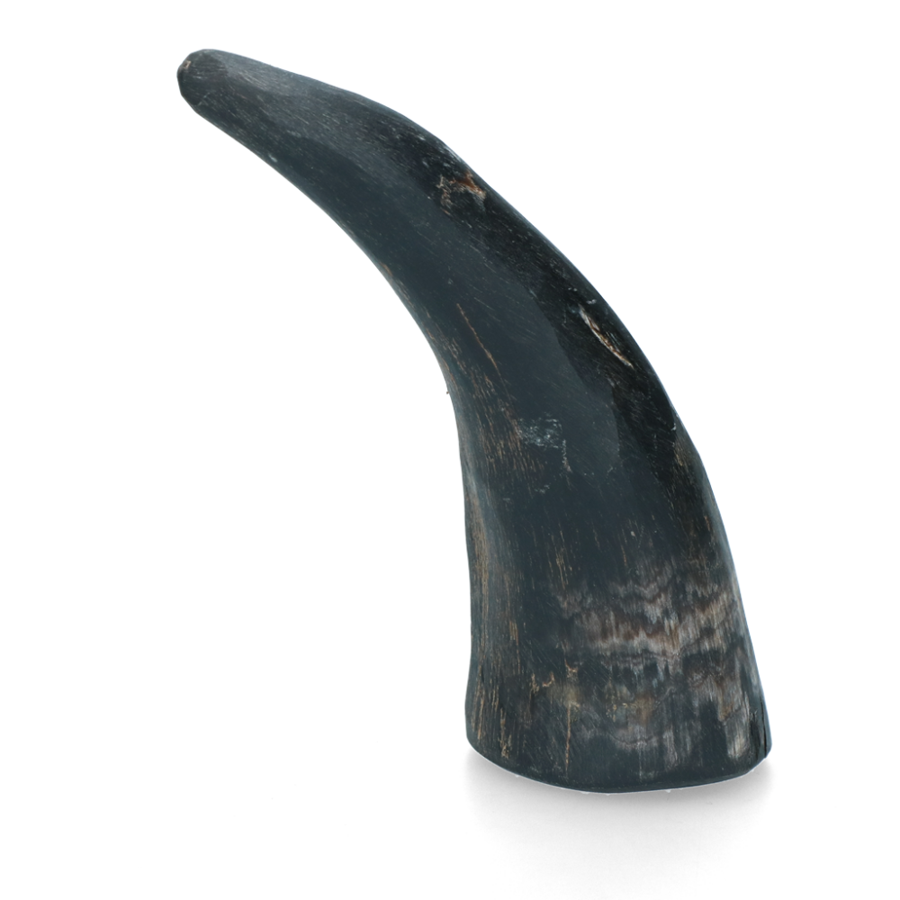 Viking whole Horn S