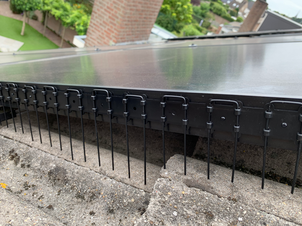 Vogelpinnen Zonnepanelen 50cm transparant