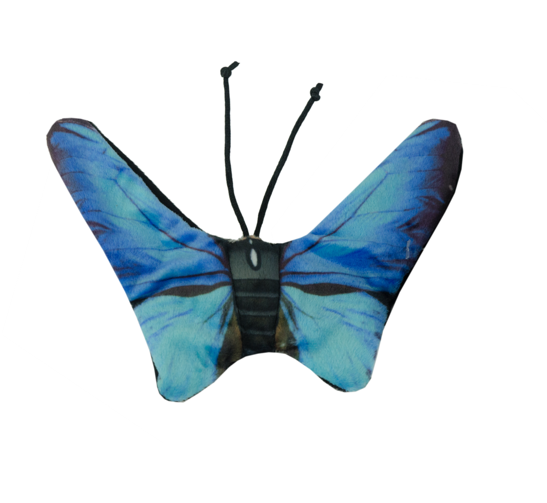 Wild Life Cat Blue Butterfly (Blauwe Vlinder)